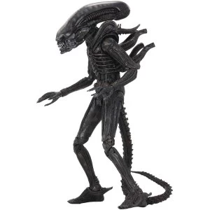 Image of Xenomorph Alien 40th Anniversary Neca Action Figure