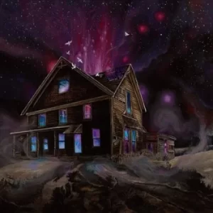 Image of Suspended in Reflections by Ancestors Vinyl Album