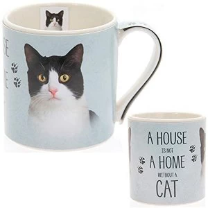 Image of Fine China Black & White Cat Mug By Lesser & Pavey