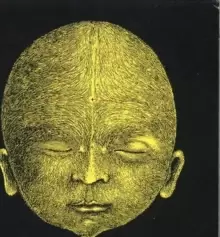 Image of Face Like A Skull