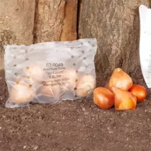 Image of YouGarden Novelty Premium Tulip Ice Cream 10 bulbs - Brown