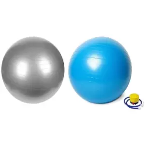 Image of Swiss Gym Ball - 65cm - Vector X