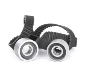 Image of INA Timing belt kit 530 0117 10 Timing belt set,Cam belt kit OPEL,RENAULT,FIAT,Movano Kastenwagen (X70),Movano Bus (X70)