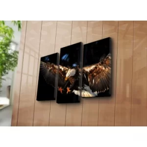 Image of 3NATPAT-25 Multicolor Decorative Canvas Painting (3 Pieces)