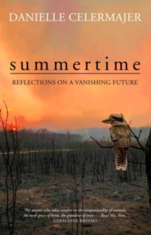 Image of Summertime : Reflections on a Vanishing Future Paperback / softback