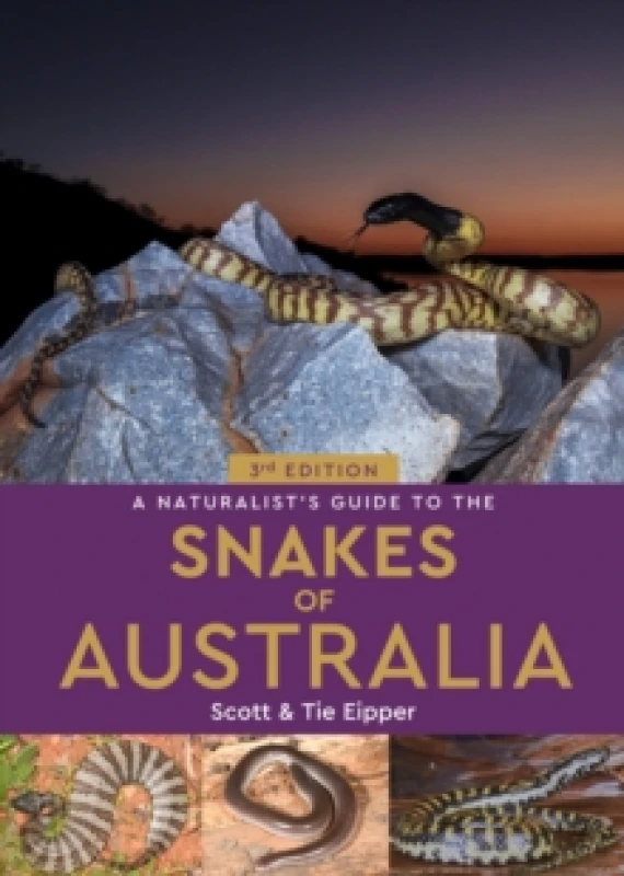 Image of A Naturalist's Guide to the Snakes of Australia Paperback / softback