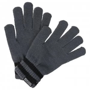 Image of Regatta Davion II Knitted Glove - Asteroid/Blk