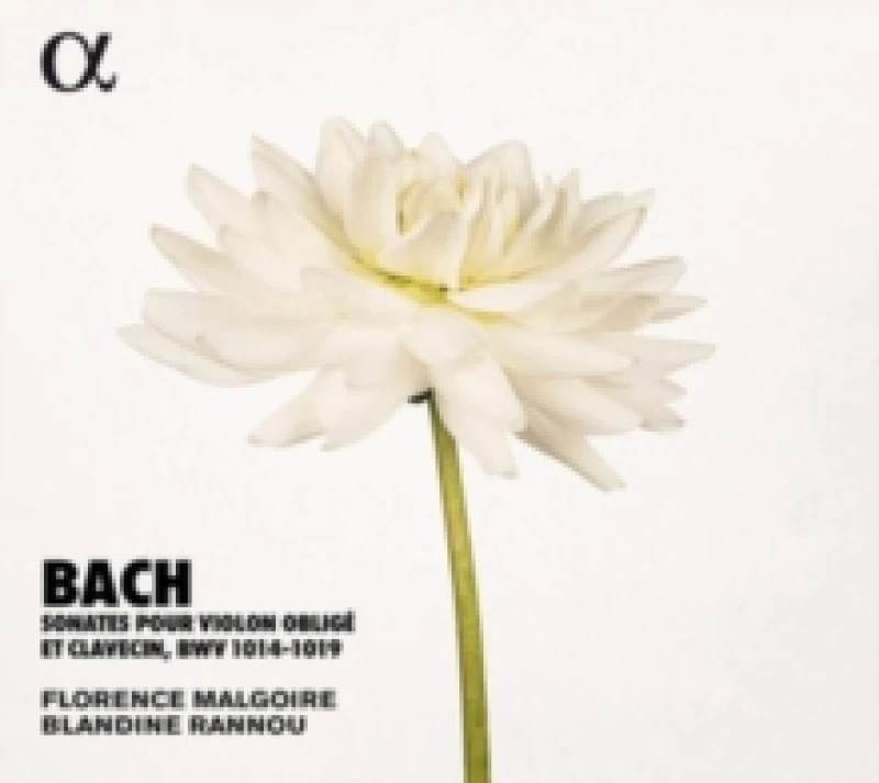 Image of Bach: Sonates Pour Violon Oblig Et Clavecin, BWV 1014-1019 CD / Album