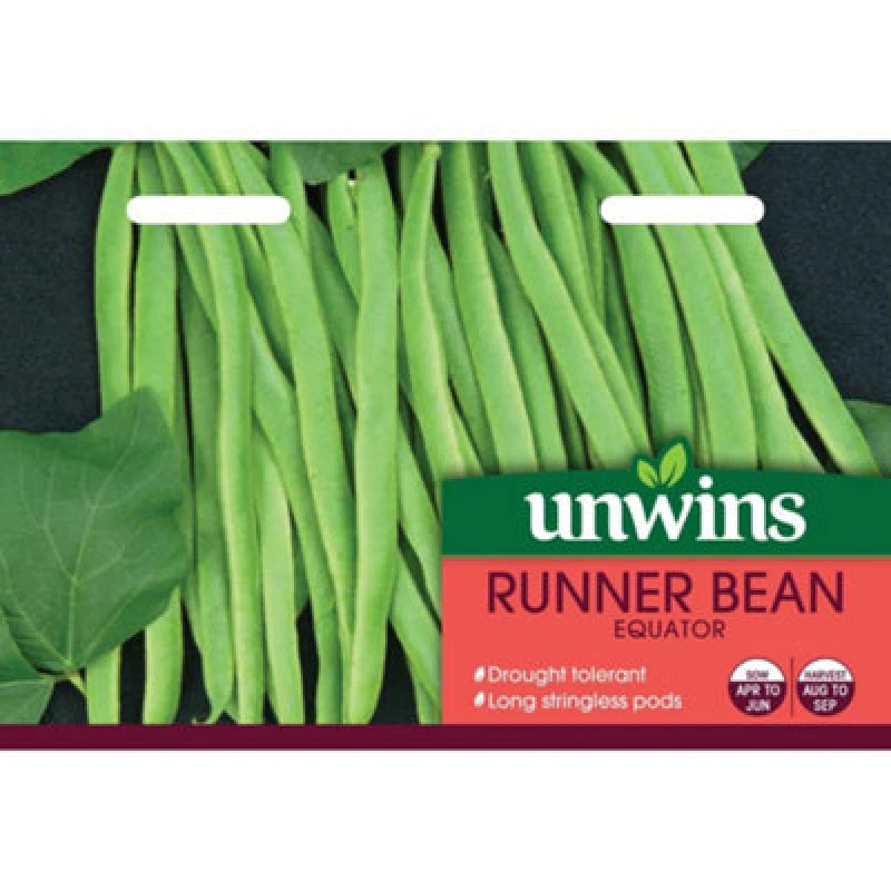 Image of Unwins Runner Bean Equator (White)