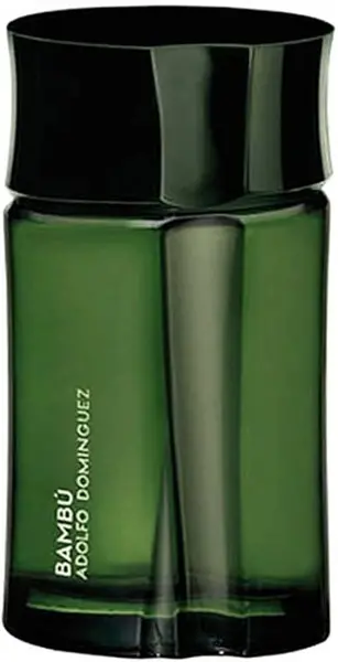 Image of Adolfo Dominguez Bambu Eau de Toilette For Him 120ml