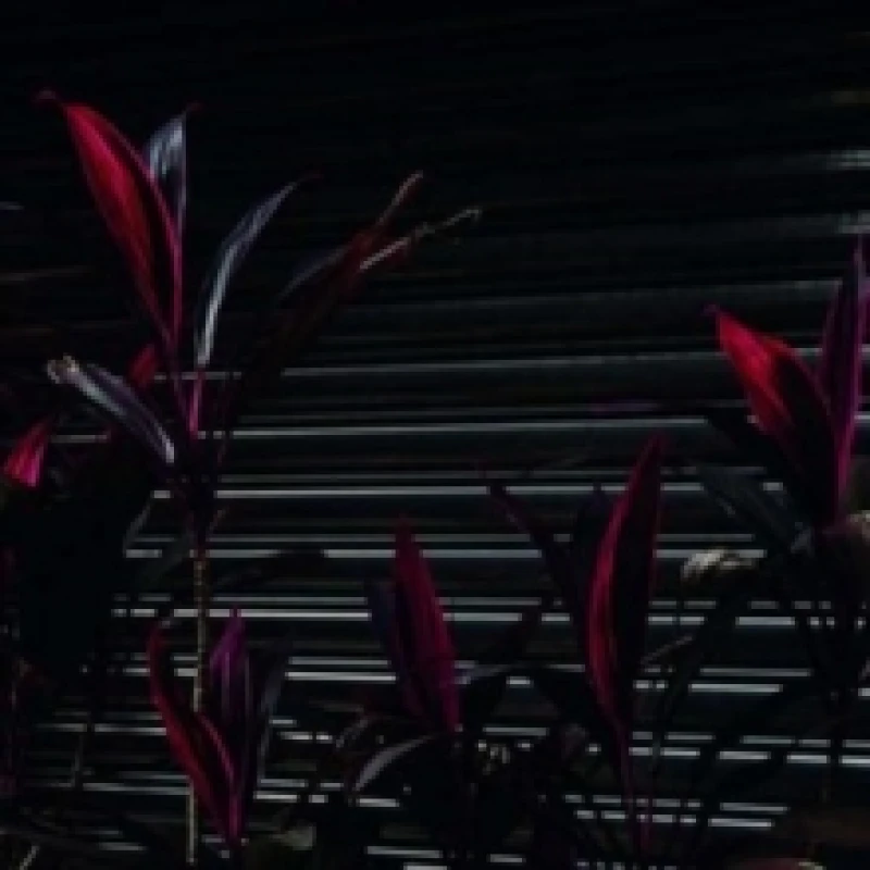 Image of This New Heaven Vinyl