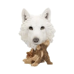 Image of Wild Winter Wolf Bust