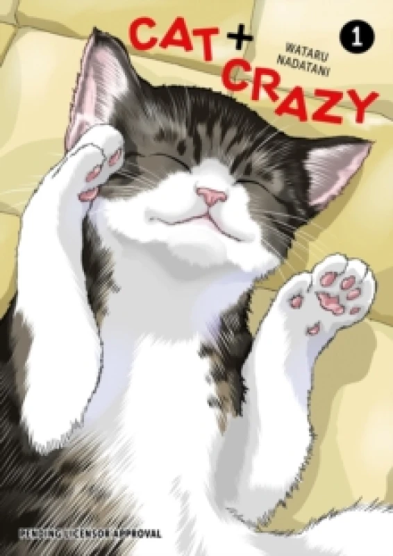 Image of Cat + Crazy Volume 1 Paperback / softback