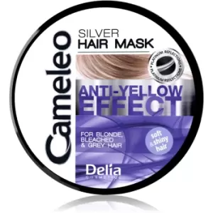 Image of Delia Cosmetics Cameleo Silver Hair Mask for Yellow Tones Neutralization 200ml