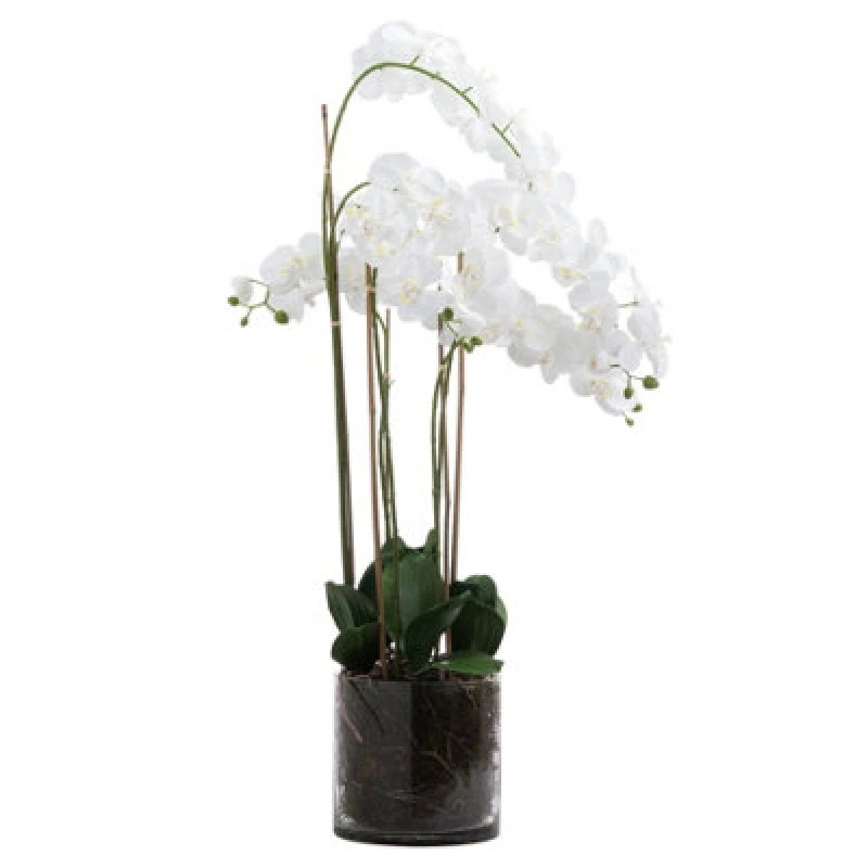 Image of Hill Interiors Large White Tall Orchid In Glass Pot