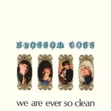 Image of We Are Ever So Clean (Expanded Edition)