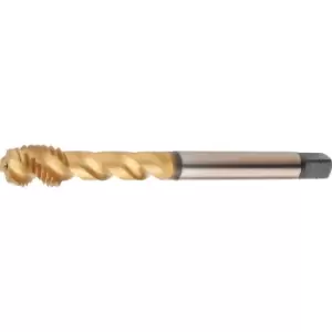 Image of EX00 M20X2.50 6H HSS-XS1 TiN Sp/Fl Tap