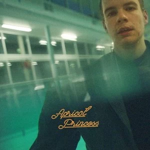 Image of Rex Orange County - Apricot Princess Vinyl
