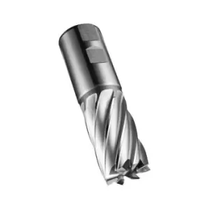 Image of Schaftfraser C247 DIN 844 K D.26mm Schneiden-L.45mm HSS-E-PM Blank 30Grad Z.6 DO