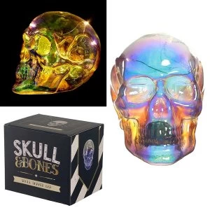Image of Metallic Iridescent Skull Decorative LED Light