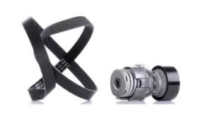 Image of INA V-ribbed belt set RENAULT,NISSAN,DACIA 529 0009 10 117203290R,117203694R,117205191R 117206843R,117209782R,117501083R,117501113R,117503662R