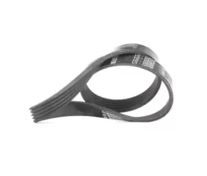 Image of Bosch V-ribbed belt FORD,VOLVO 1 987 946 134 1346034,3M5Q6D314CB,30777417 3M5Q6C301CB,8653641