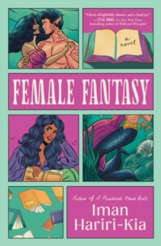 Image of Female Fantasy : A Spicy Contemporary Romance for Fans of Bookish Reads Paperback / softback