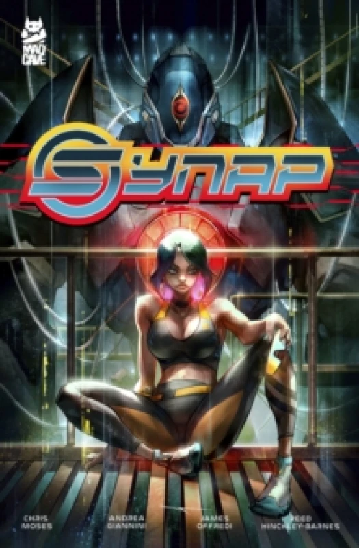 Image of Synap Paperback / softback