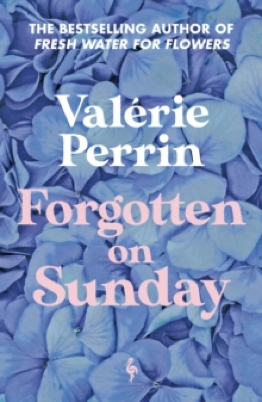 Image of Forgotten on Sunday. Paperback. By Valerie Perrin Books