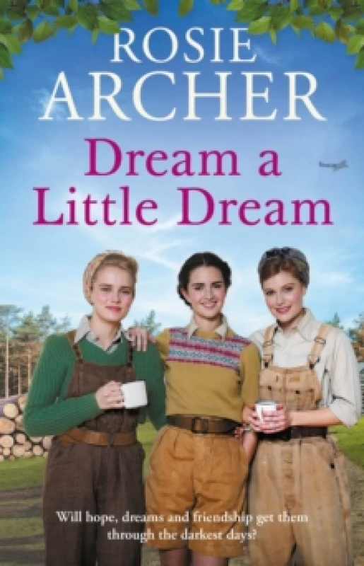 Image of Dream a Little Dream Hardback