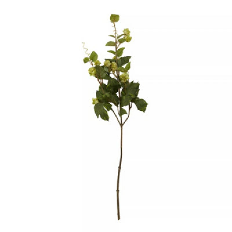 Image of Premier Housewares Elegant 88CM Pale Lime Hops, Versatile Artificial Flower Foliage, Sustainable And Easily Maintained Hops Green