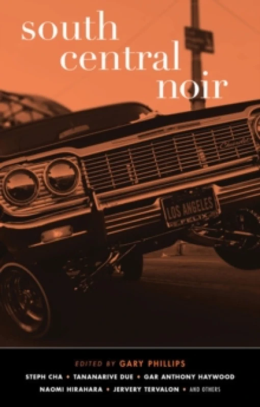 Image of South Central Noir Paperback / softback