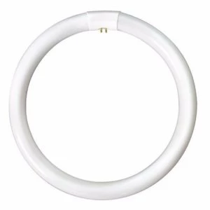 Image of Bell 40W CFL T9 G10q Circular Bulb - Cool White