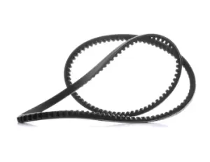 Image of CONTITECH V Belt VW,BMW,RENAULT AVX10X1013 11231717952,6057343,6058199 Fenner Belt 6086008,86TF6C301AA,4851300,98473702,62308185,7700647521,7700663010