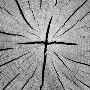 Image of That's Why - That's Why Vinyl