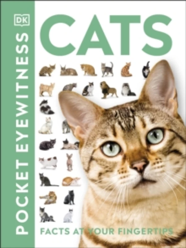 Image of Cats : Facts at Your Fingertips Paperback / softback
