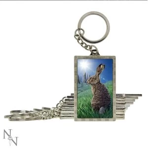 Image of Solstice Pack of 10 3D Keyring
