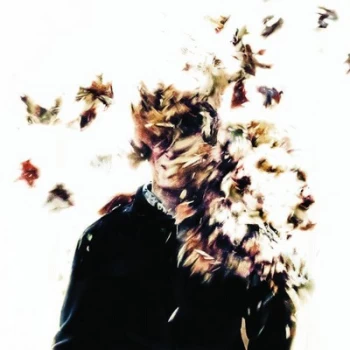 Image of Whorls by Kittel & Co. CD Album