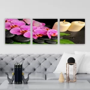 Image of P889808 Multicolor Decorative Canvas Painting (3 Pieces)