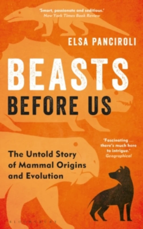 Image of Beasts Before Us : The Untold Story of Mammal Origins and Evolution Paperback / softback
