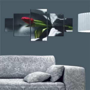 Image of K18 Multicolor Decorative MDF Painting (5 Pieces)