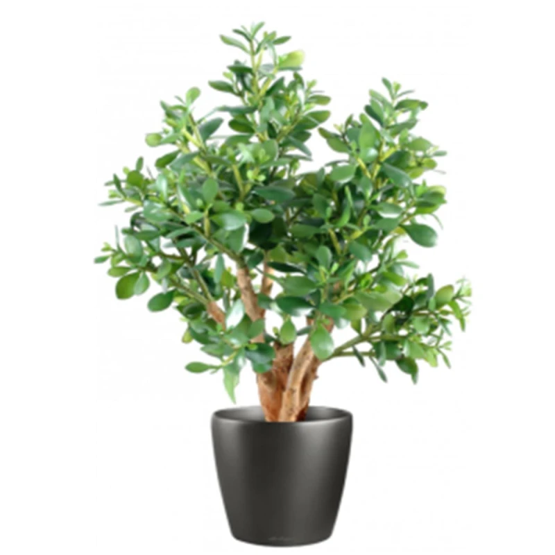 Image of N/A 70cm Artificial Deluxe Jade Plant