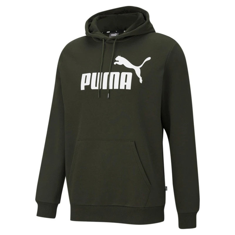 Image of Puma No1 OTH Hoodie Mens Forest Night male XXS