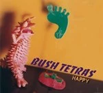Image of Bush Tetras - Happy (Music CD)
