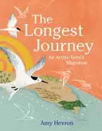 Image of longest journey an arctic terns migration