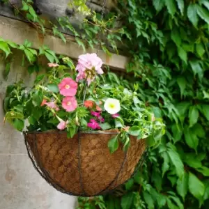 Image of Netted Wire Outdoor Hanging Basket Zinc
