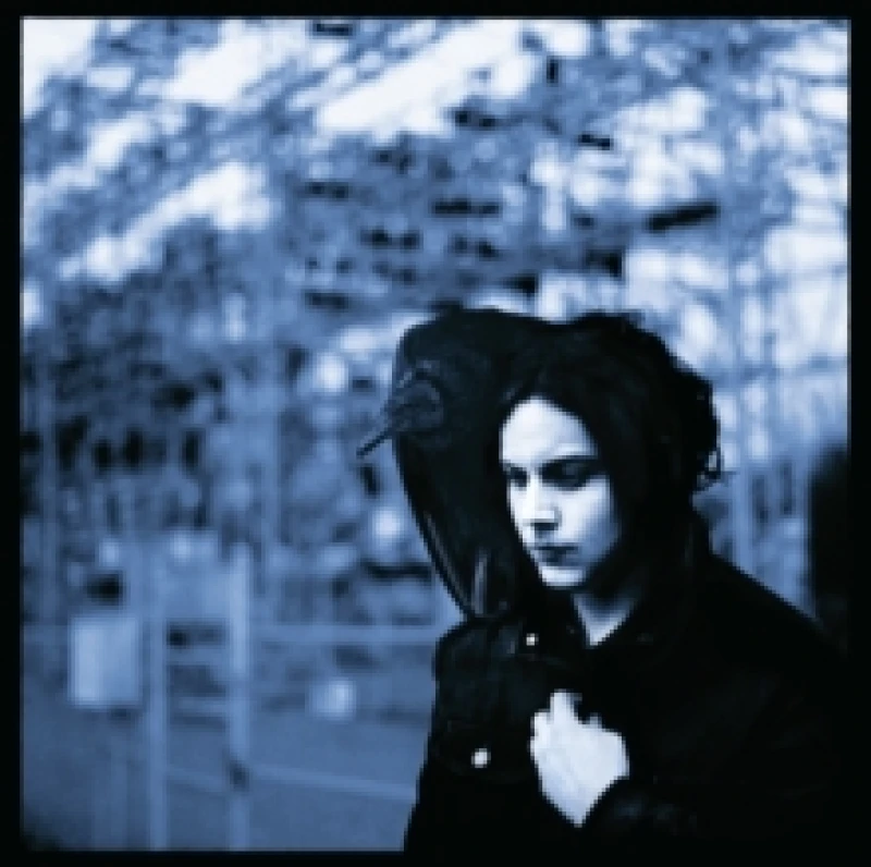Image of Jack White Blunderbuss LP multicolor Onesize Unisex