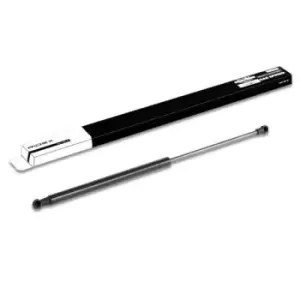 Image of RIDEX Tailgate strut RENAULT 219G0253 844300001R