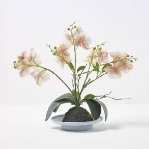 Image of Homescapes - Pink and White Orchid 38cm Phalaenopsis in Ceramic Pot - Pink & White