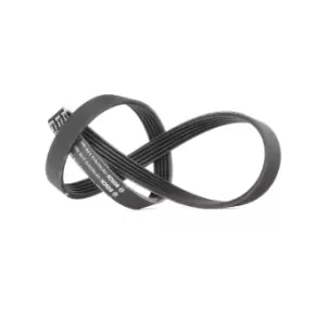 Image of Bosch V-ribbed belt AUDI,BMW,OPEL 1 987 947 919 195510510305,71719007,7604445 7640257,11287833266,11281736759,11281736988,11287833266,71719007,7604445